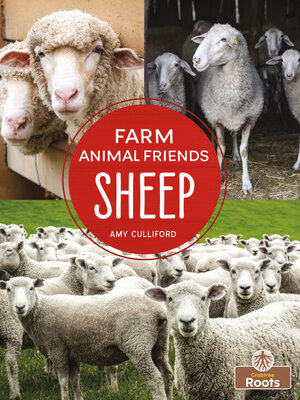 cover image of Sheep